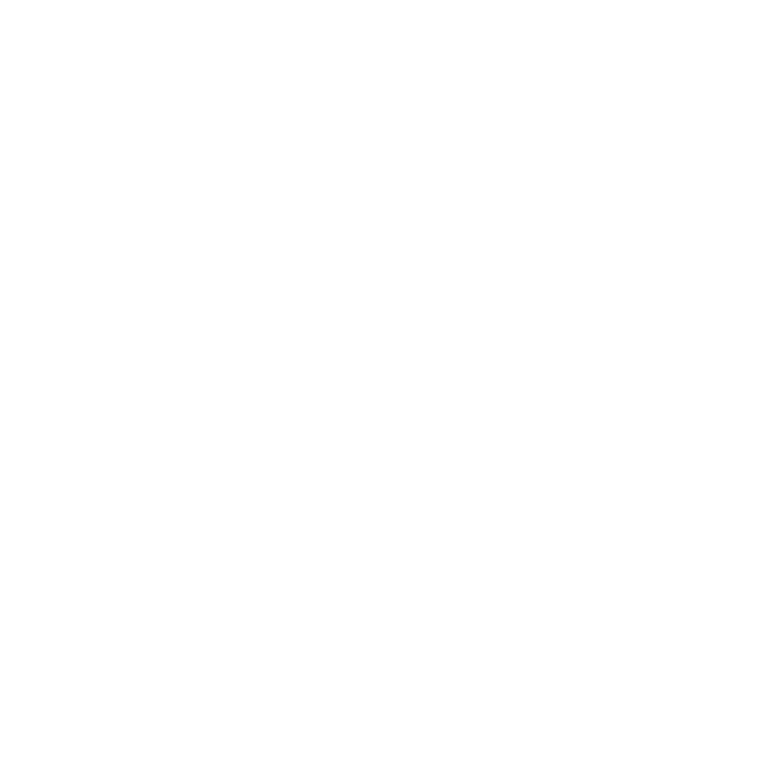 SleepWise Logo